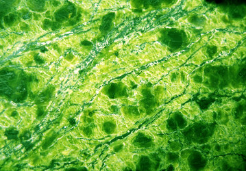 Similar image 1138247