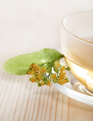 Similar image 1138266