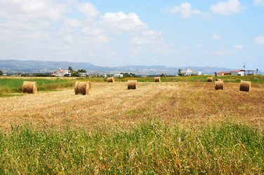 Similar image 1138295