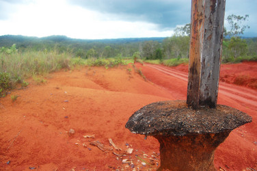 Similar image 1138314