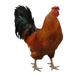 Similar image 1138347