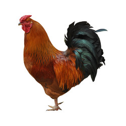 Similar image 1138348