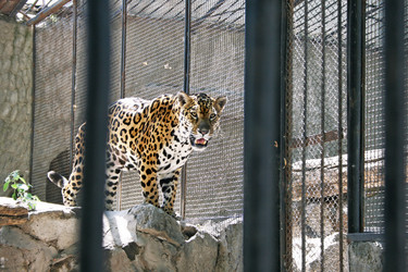 Similar image 1138398