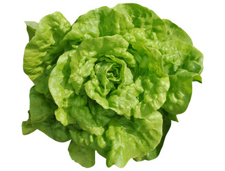 Similar image 1138412