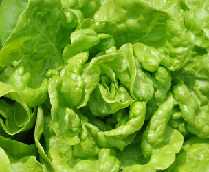 Similar image 1138413