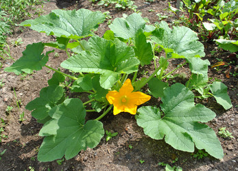 Similar image 1138440