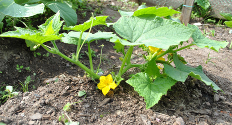 Similar image 1138441