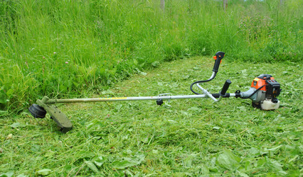 Similar image 1138473