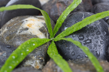 Similar image 1138519