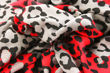 Similar image 1138528