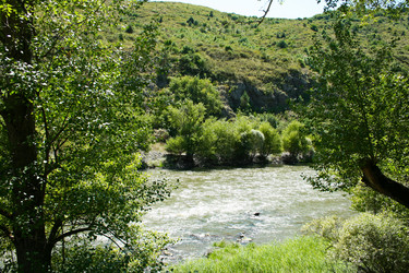 Similar image 1138531