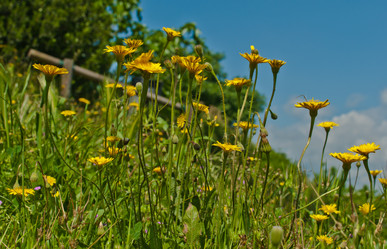 Similar image 1138535