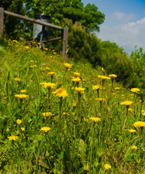 Similar image 1138536