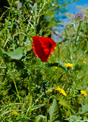 Similar image 1138537