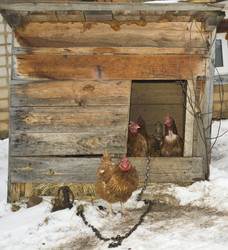 Similar image 1138554