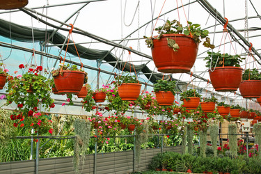 Similar image 1138568