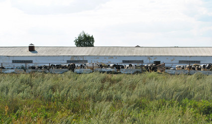 Similar image 1138750