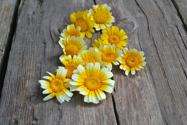 Similar image 1138752