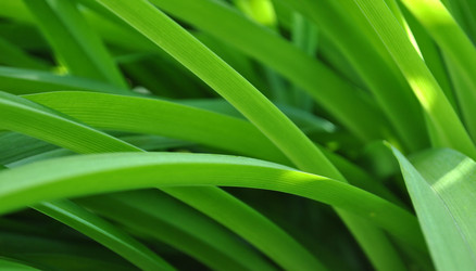 Similar image 1138756