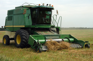 Similar image 1138786