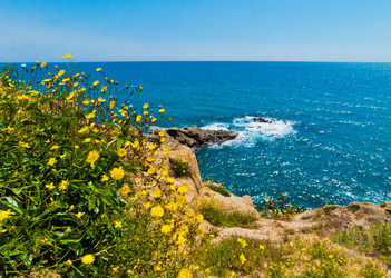 Similar image 1138821