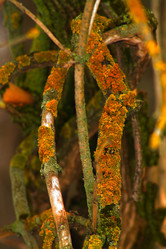 Similar image 1138866