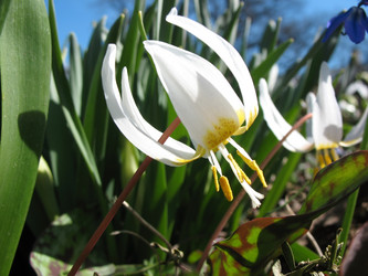 Similar image 1138870