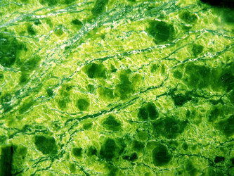 Similar image 1138872