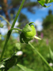 Similar image 1138877