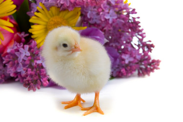 Similar image 1138905