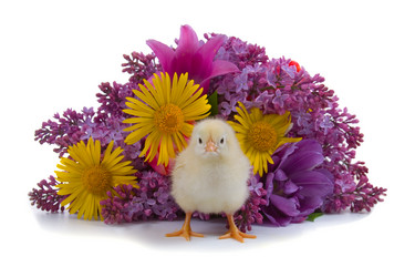 Similar image 1138952