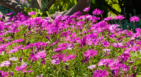 Similar image 1138962