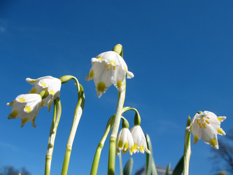 Similar image 1138966