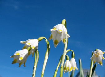 Similar image 1138967