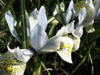 Similar image 1138968