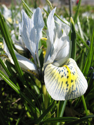 Similar image 1138969