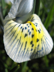 Similar image 1138970