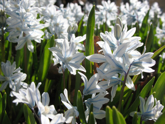 Similar image 1138972