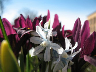 Similar image 1138973