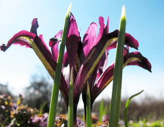 Similar image 1138975