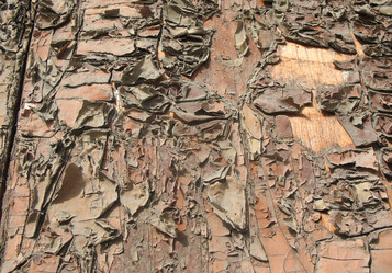 Similar image 1138980