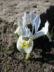 Similar image 1138981