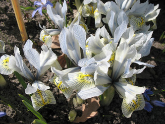 Similar image 1138982