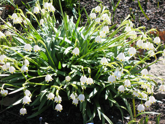 Similar image 1138984