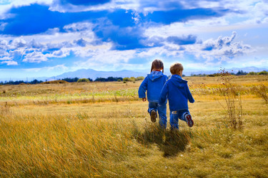 Similar image 1138990