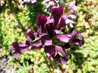 Similar image 1139002