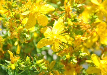 Similar image 1139008