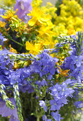 Similar image 1139010