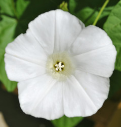 Similar image 1139014