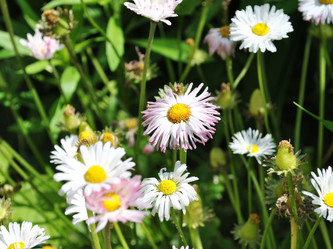 Similar image 1139015